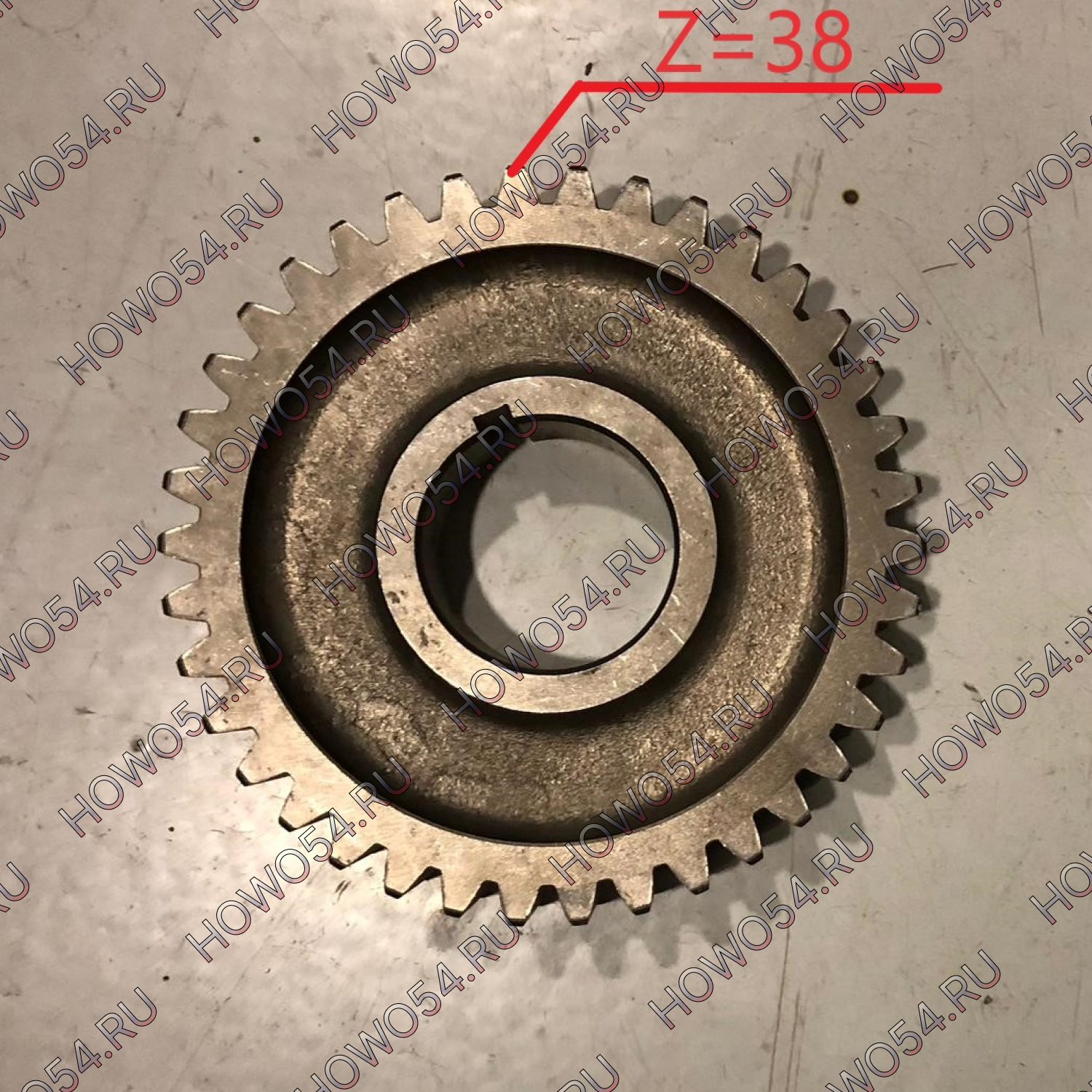 25305